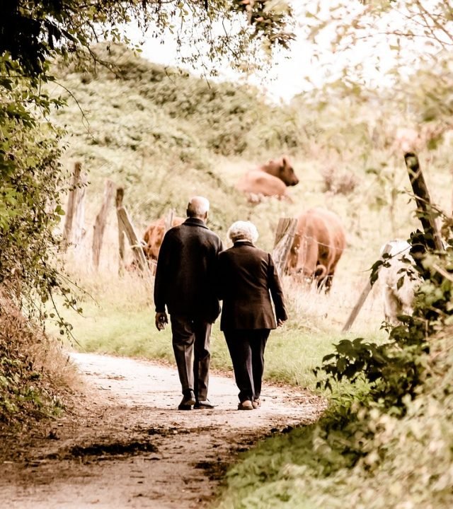 elderly, couple, walking, trail, countryside, rural, retired, leisure, path, elderly, elderly, elderly, elderly, couple, couple, couple, couple, couple, walking, walking, walking, walking
